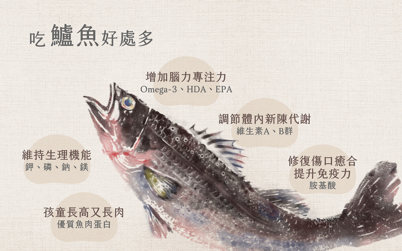 有湯有魚套組 內容圖 6